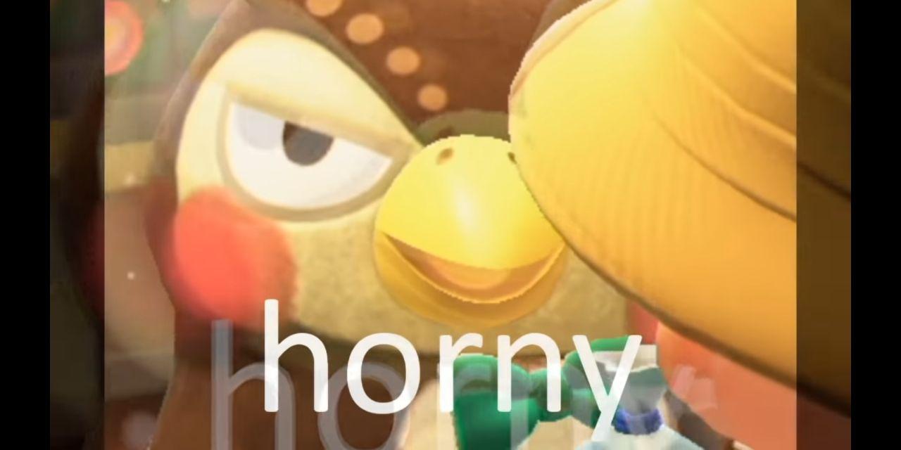 horny pöllö